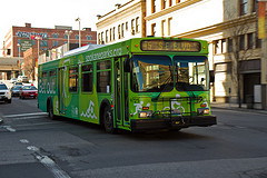 Flyer D40LF