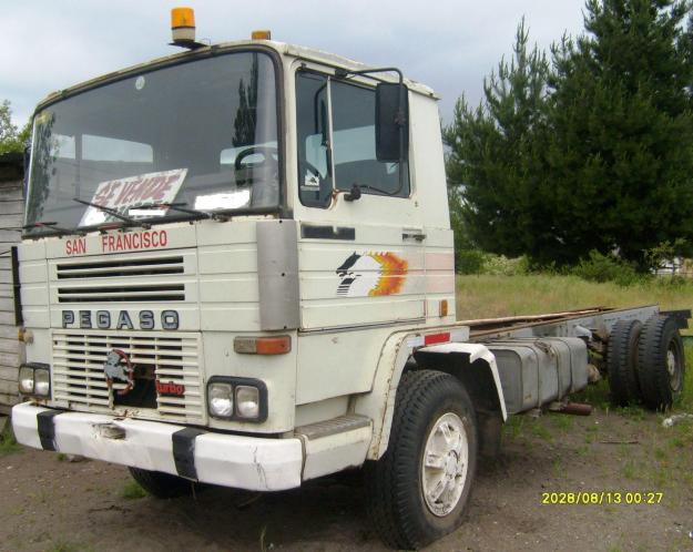 Pegaso 2331