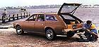 AMC Hornet Sportabout DL