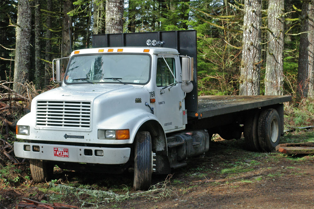 International 4900