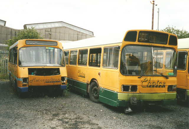 Unknown Buses