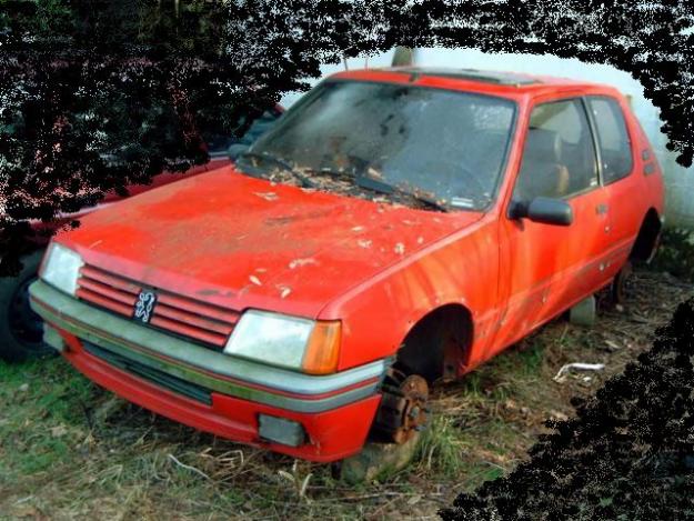 Peugeot 205 GTi 19