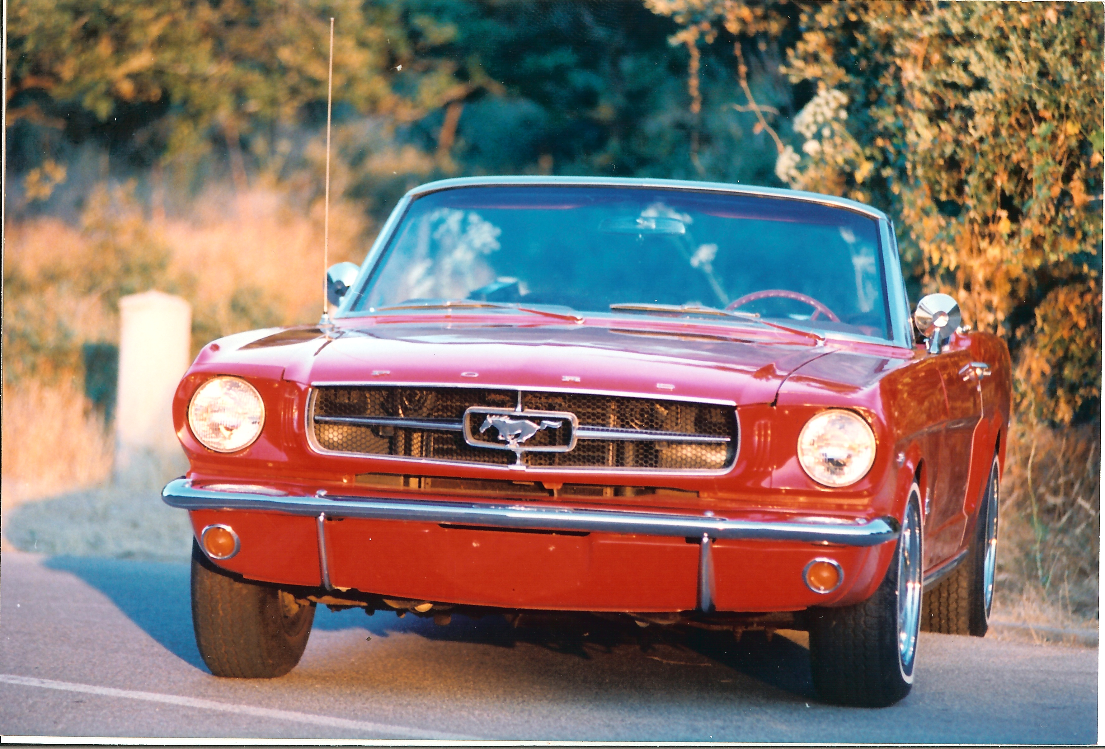 Ford Mustang Cabrio