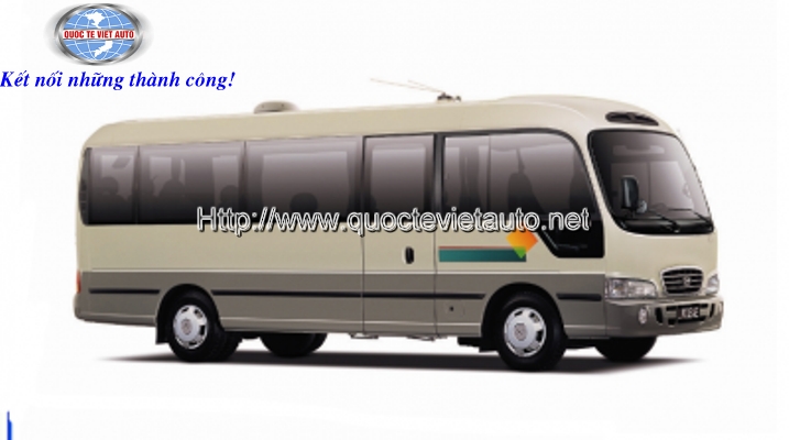 Hyundai County 29 DLX