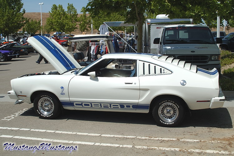 Ford Mustang II Cobra II