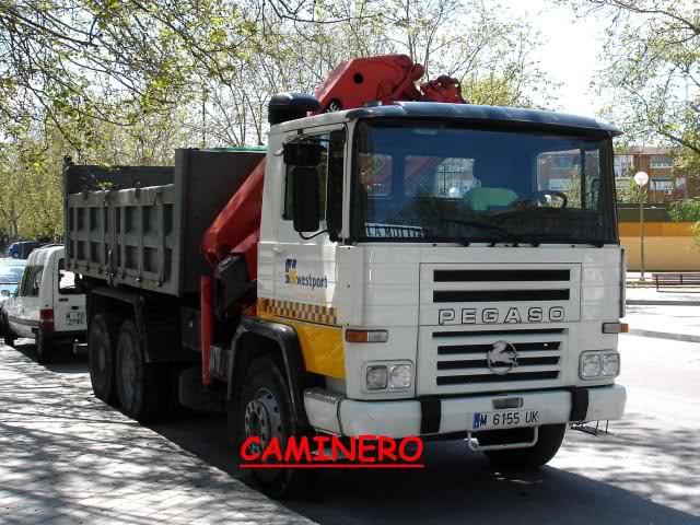 Pegaso 2331