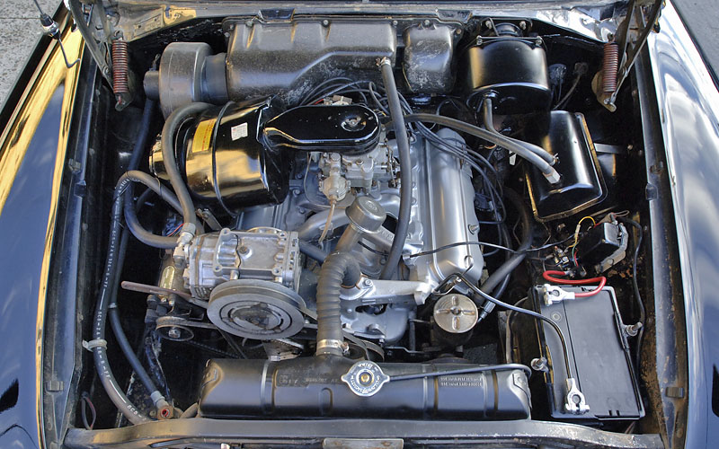 Dodge Sierra Spectator wagon