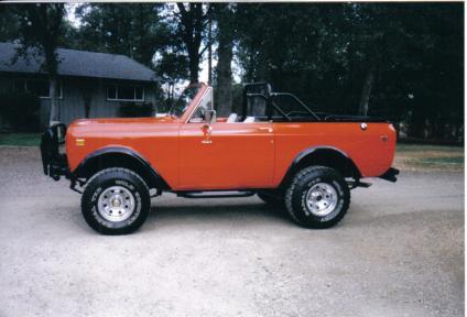 International Scout