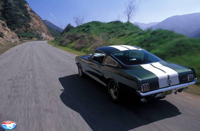 Shelby GT350 fastback