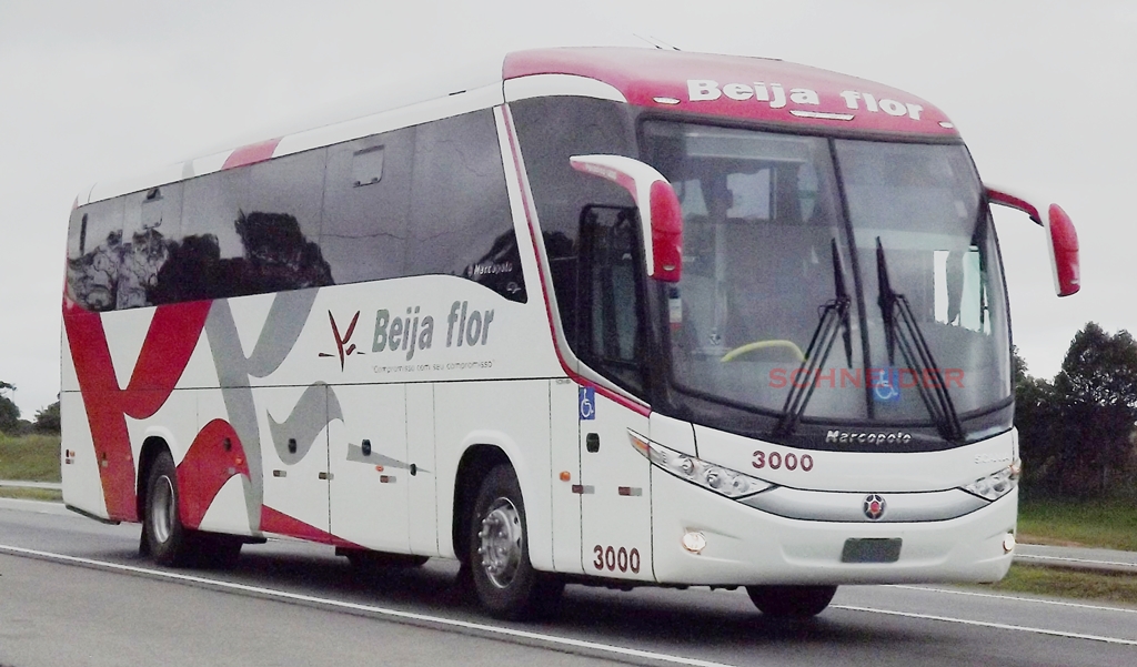 Scania K310