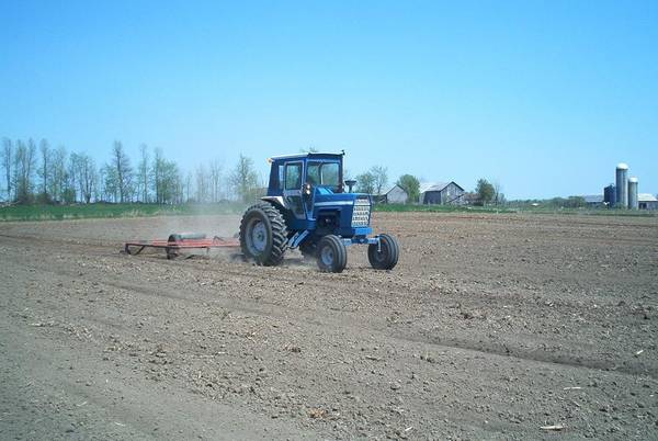Ford 8000 tractor craigslist #5