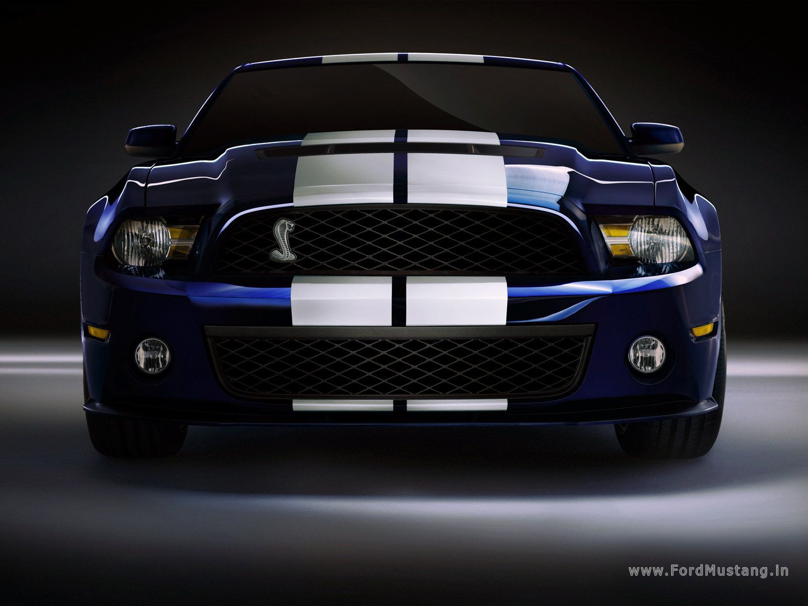 Ford Mustang Shelby GT