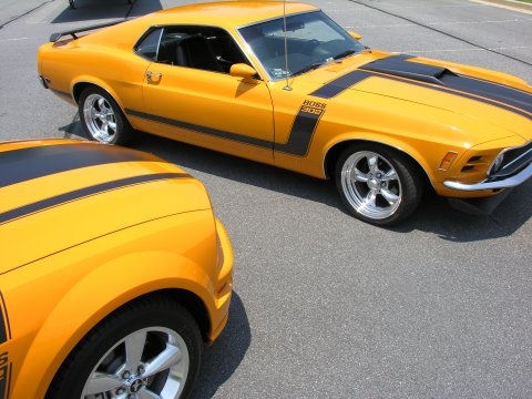 Ford Mustang Boss 302 fastback