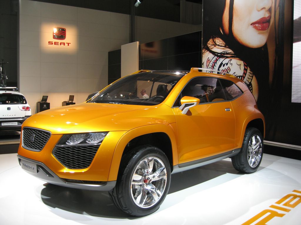 Skoda Tribu Concept