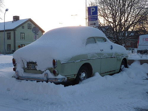 Volvo 13134 VF Amazon