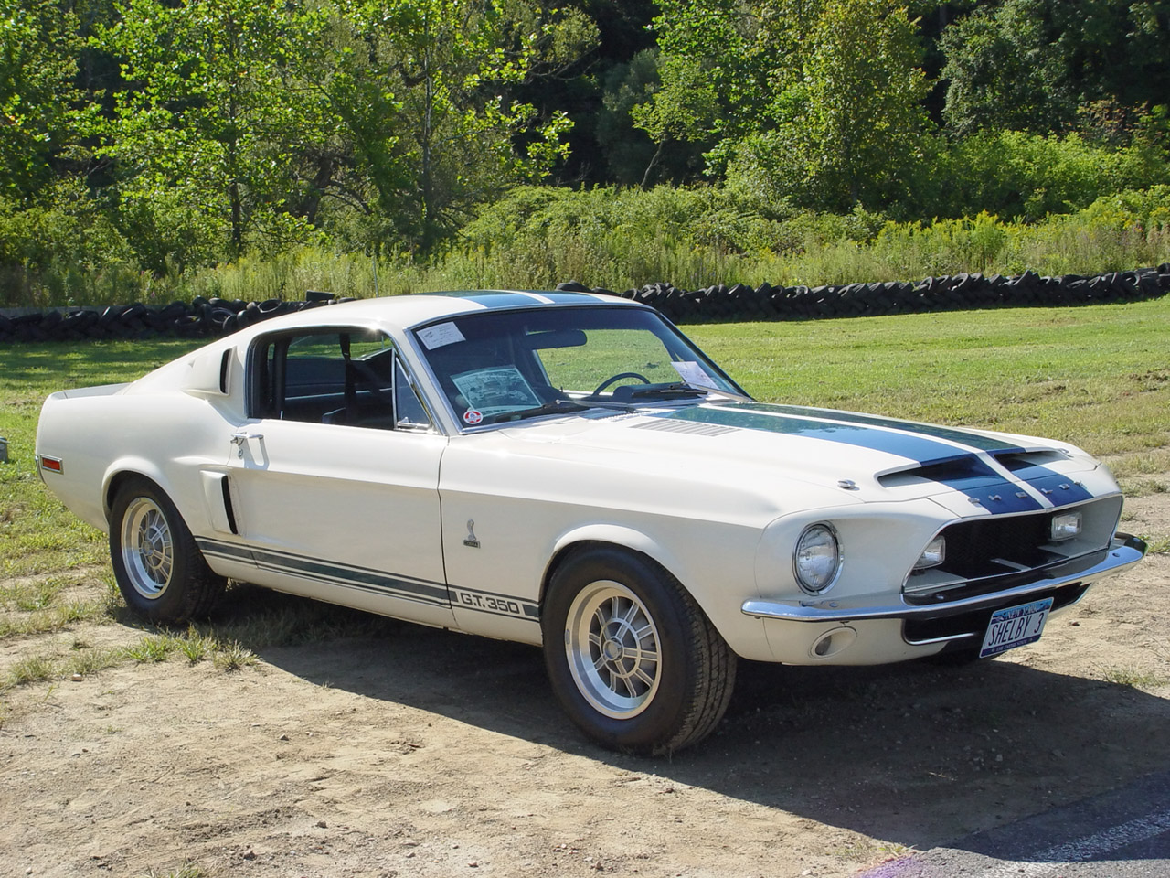 Shelby GT 350