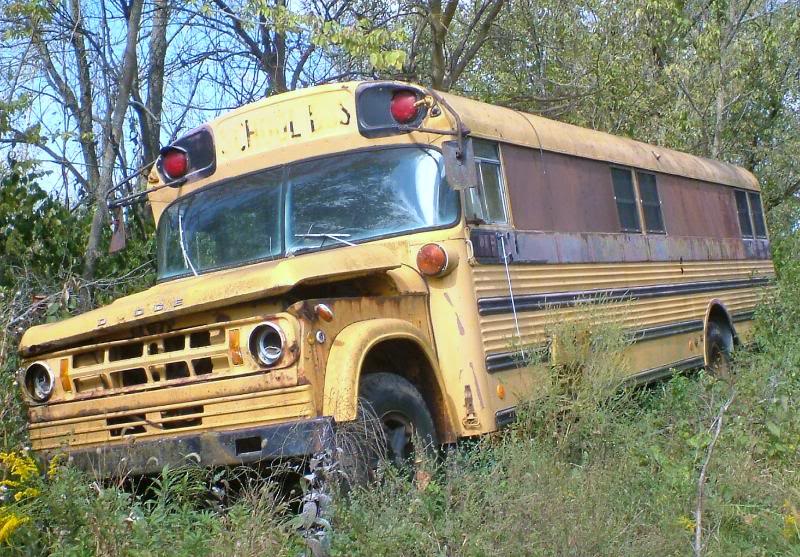 Dodge School Bus