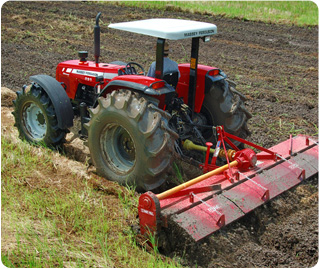 Massey Ferguson 291