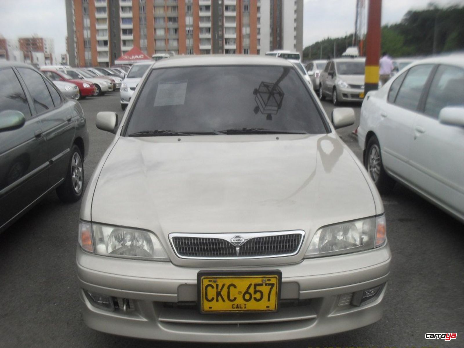 Nissan Primera GXE