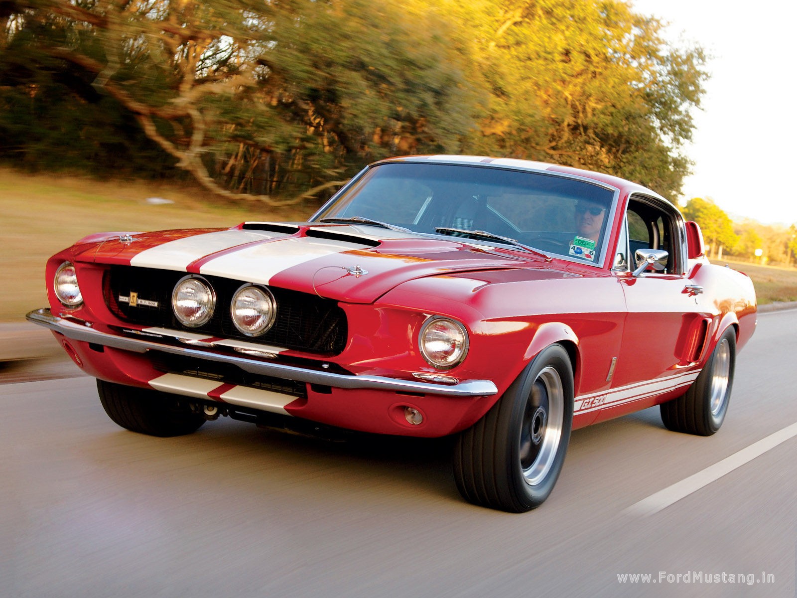 Ford Mustang GT 500