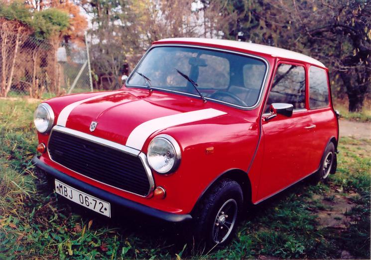 Mini 1100 Special