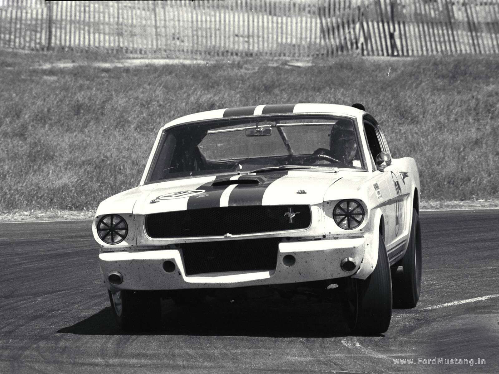 Shelby GT 350