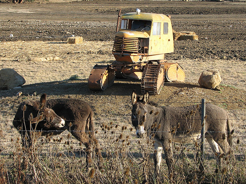 Tucker Sno-Cat 443 Sedan