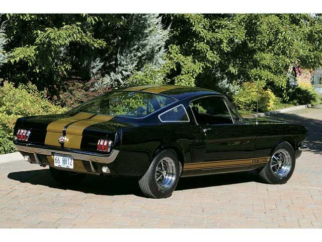 Shelby GT 350H Shelby GT 350H