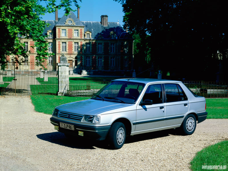 Peugeot 309 SR