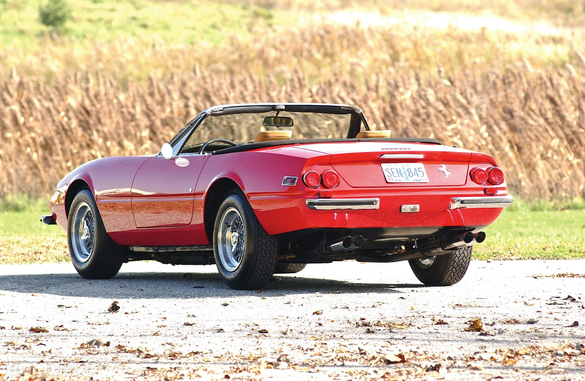 Ferrari 365 22