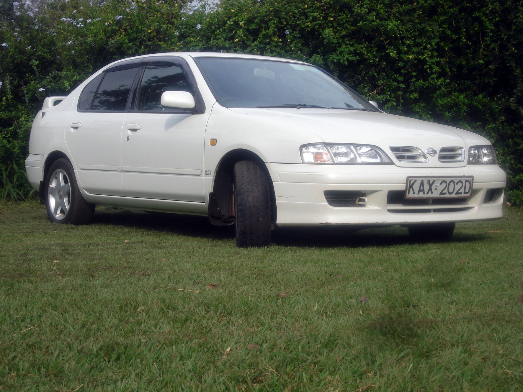 Nissan Primera 18