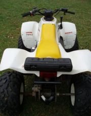 Polaris Trail Blazer 250