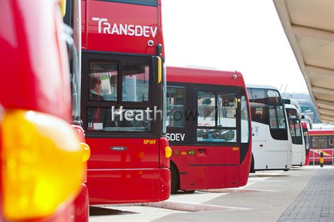 Various Buses