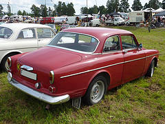 Volvo 13134 VF Amazon Custom