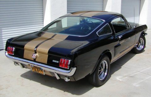 Shelby GT350 fastback