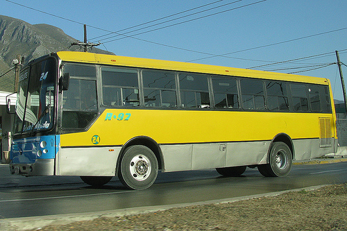 International AYCO Magno 840 SC