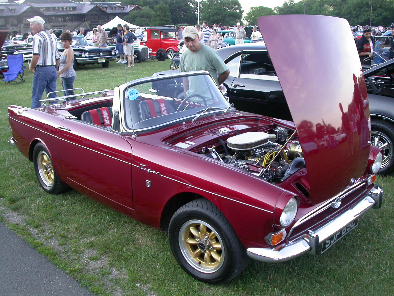 Sunbeam Tiger