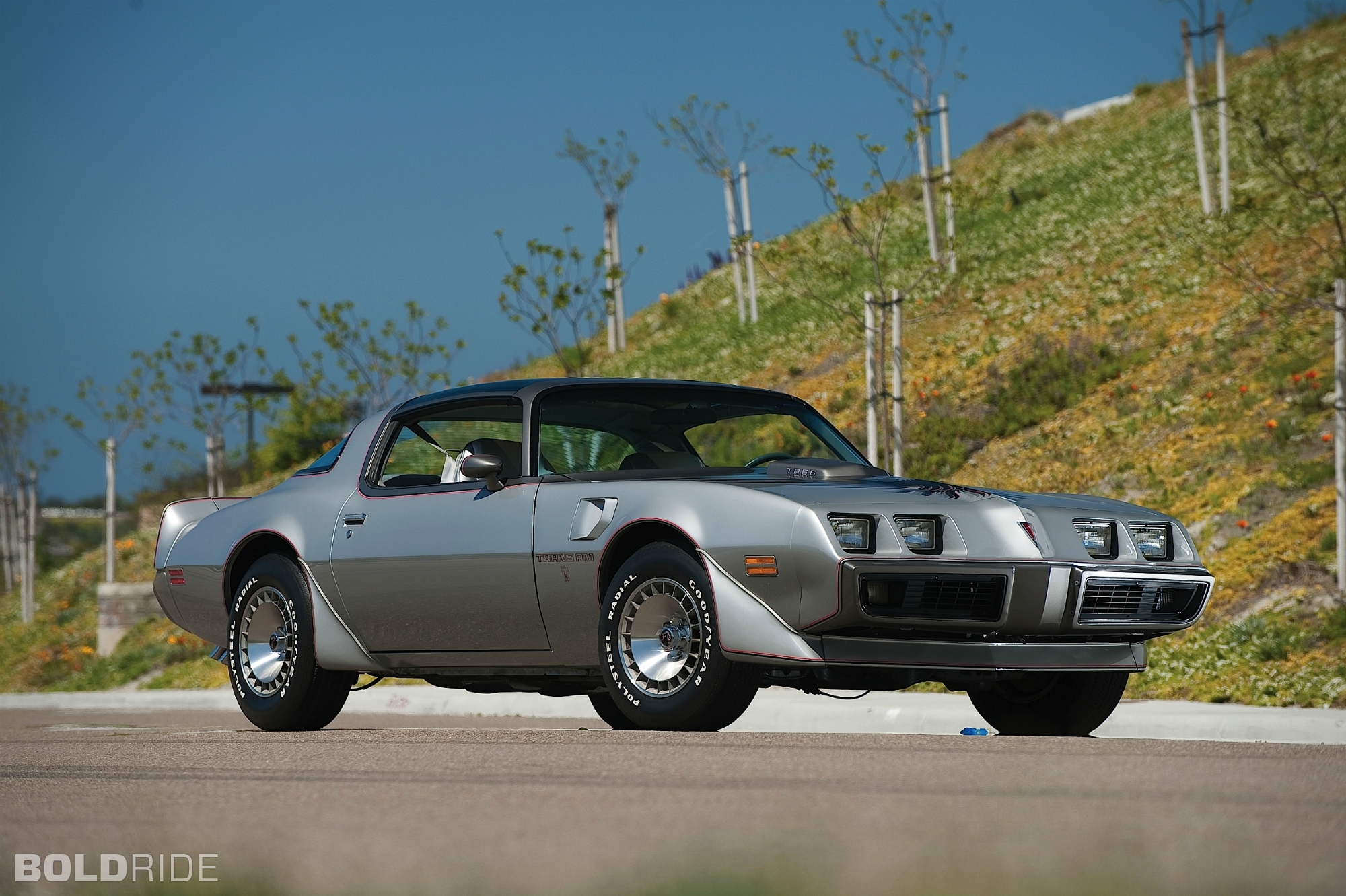 Pontiac Firebird Trans Am Special Edition