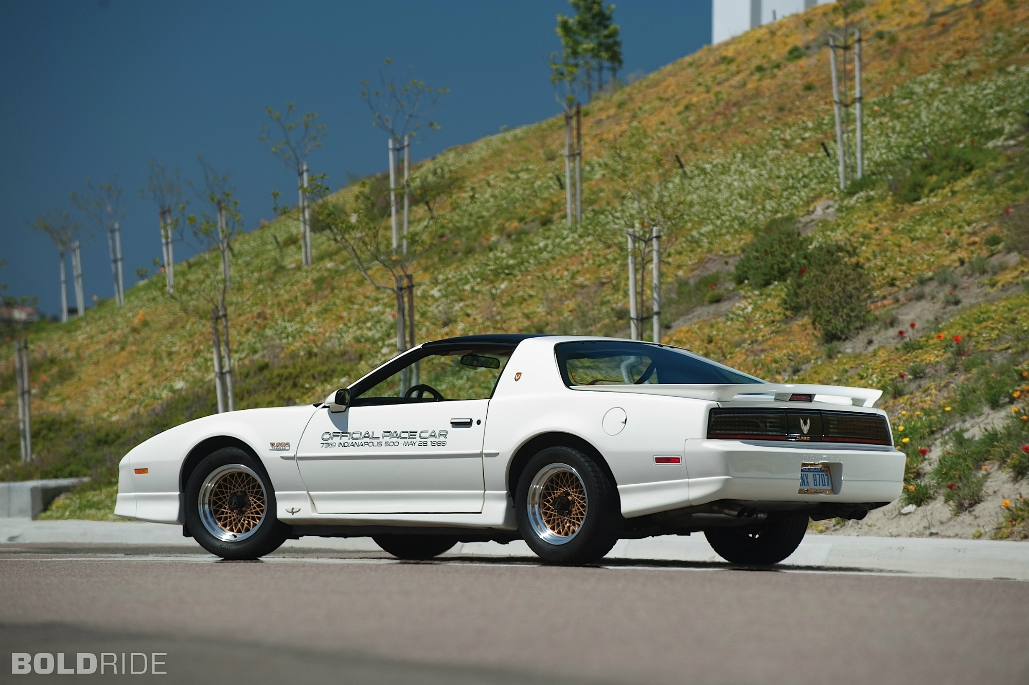 Pontiac Firebird Trans Am Special Edition