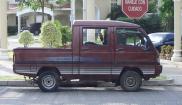 Wuling LZW5010XXYNE