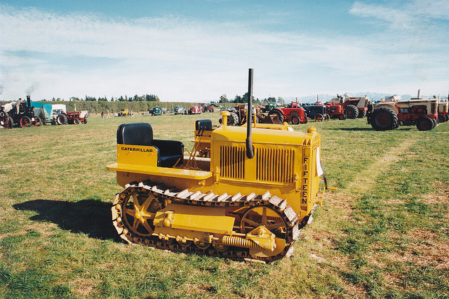 Caterpillar 15