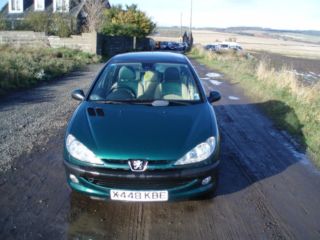 Peugeot 206 16 Roland Garros