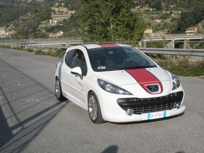 Peugeot 207 Le Mans Series