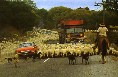 Chrysler Avenger 16 GLS Chrysler Avenger 16 GLS