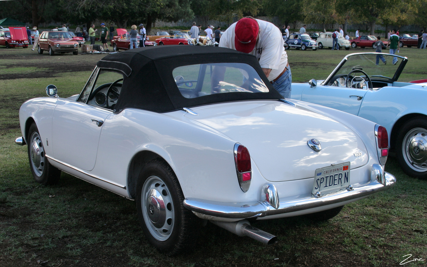 Alfa Romeo Giulia Spider