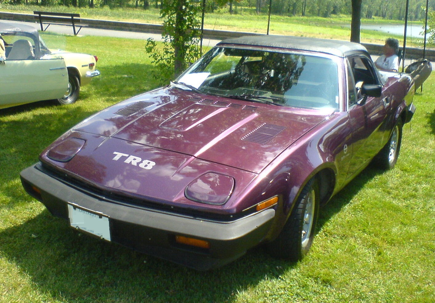 Triumph TR 8 Works Car