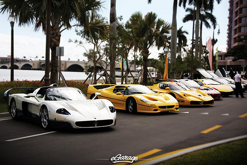 Ferrari F-50 and Enzo