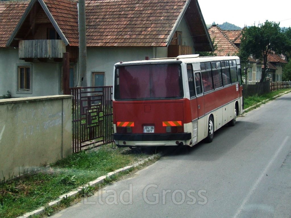 Ikarus 250