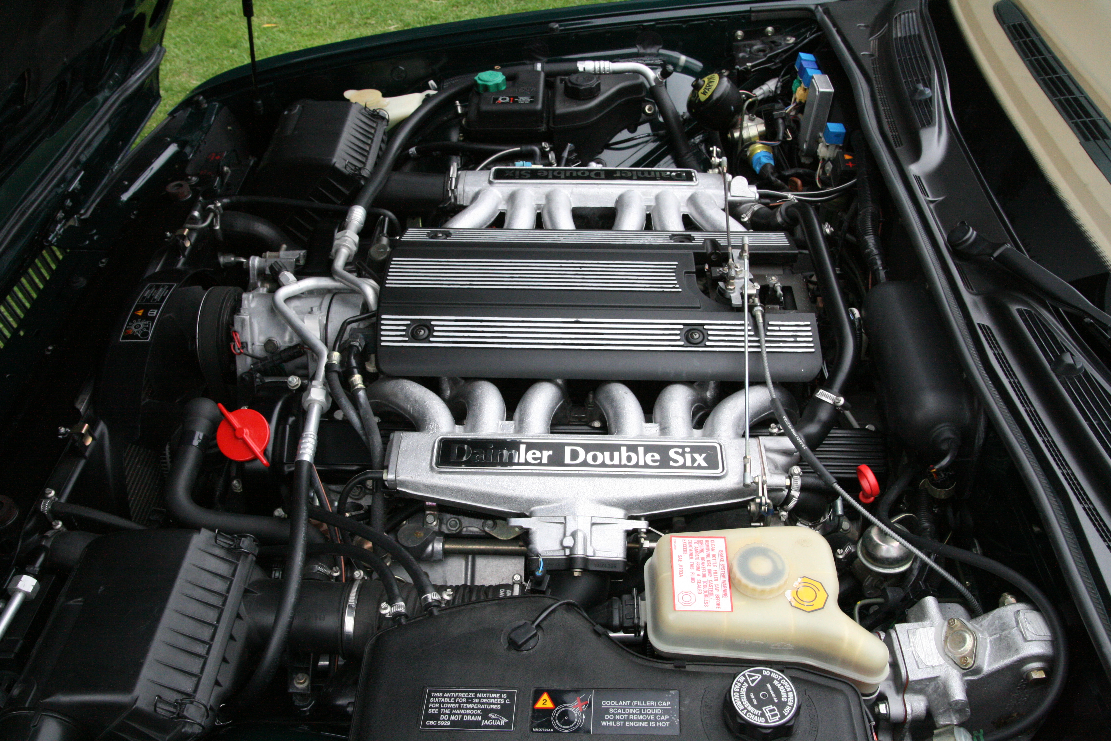 Daimler Double Six V12