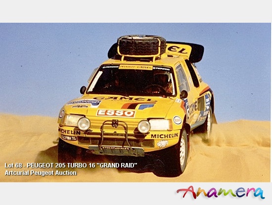 Peugeot 205 Turbo 16 Grand Raid